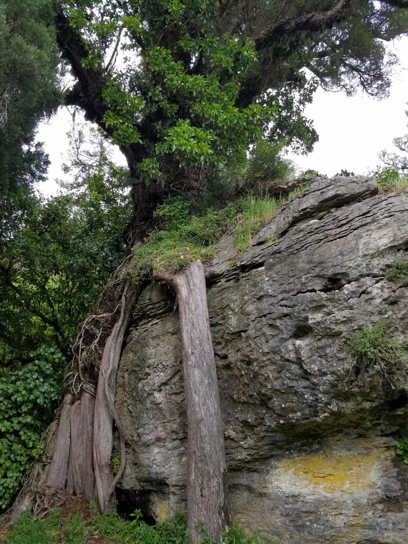 20171010_184607 - Copy