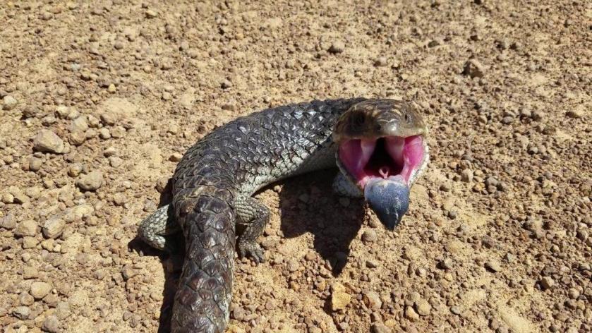 20180108_135849_Moment