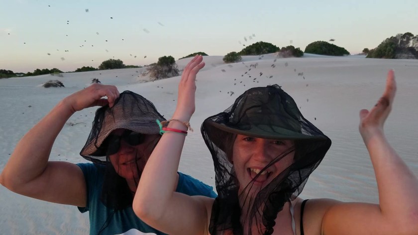 20180110_184831_Moment