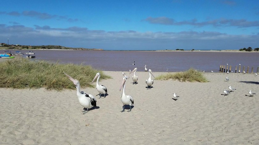 20180127_090033_Moment