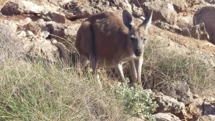 20180204_173341_Moment