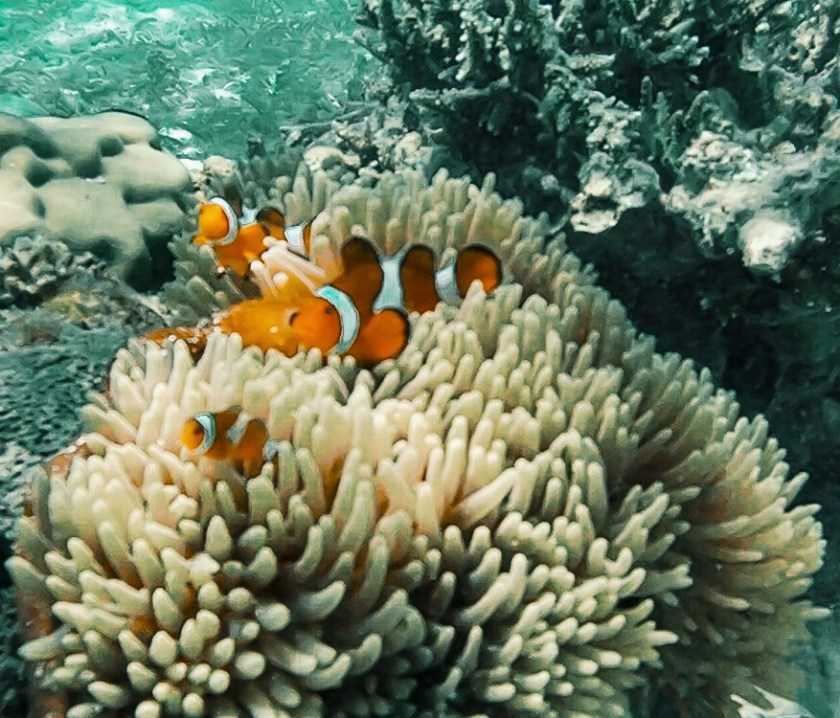 Processed with VSCO with g3 preset