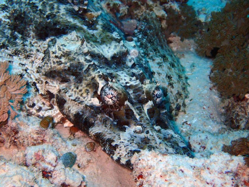 9da30037-f2fa-4759-bd5e-8084550d18ea