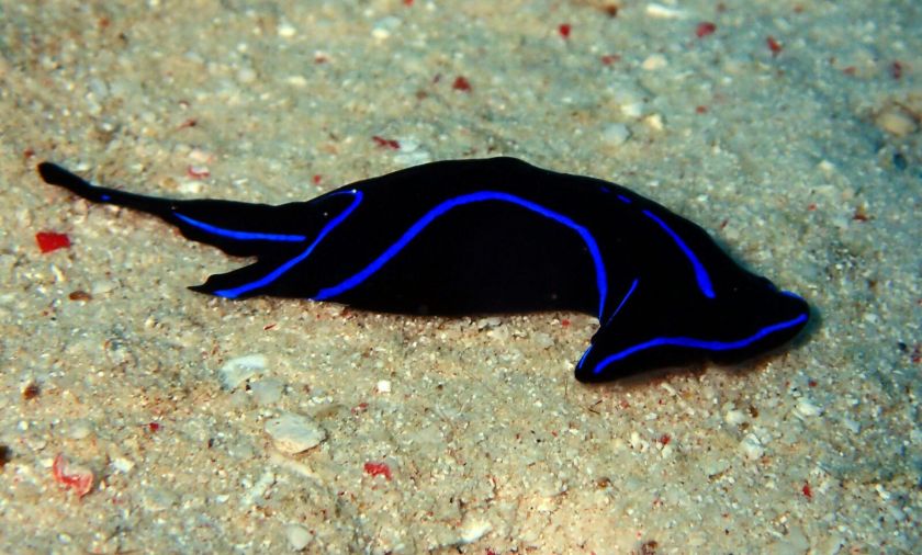 a950f9bc-1fa7-478c-9b66-b155c0007c5c