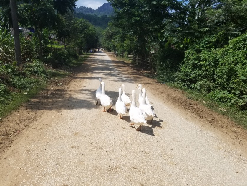 thumb_20180628_142605_1024